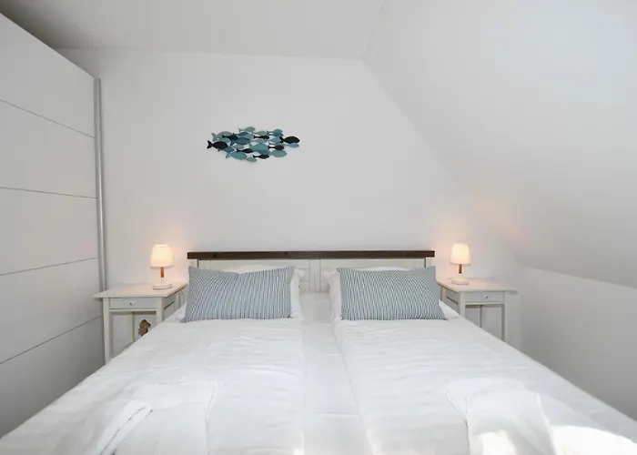 Doppelhaushaelfte Austernfischer